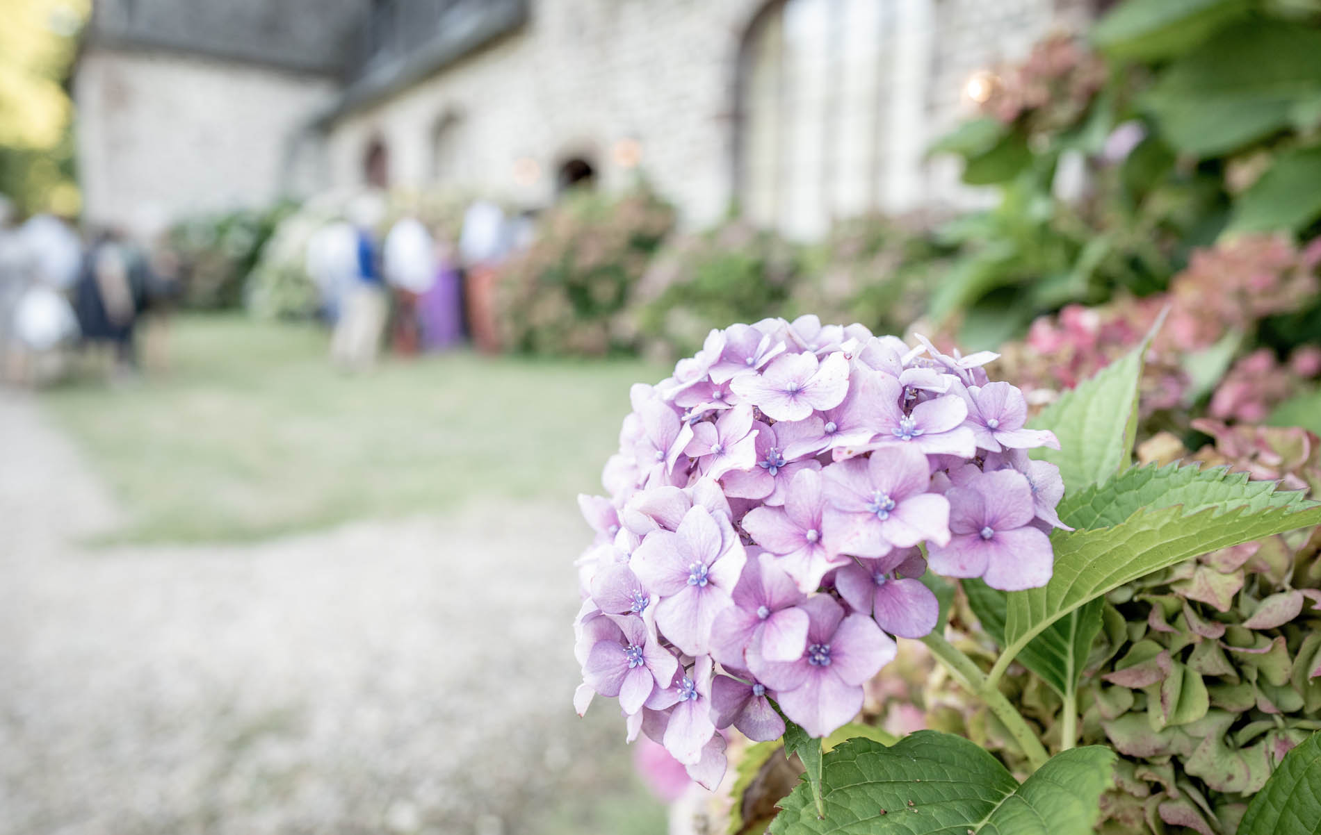 Le Saillant festival